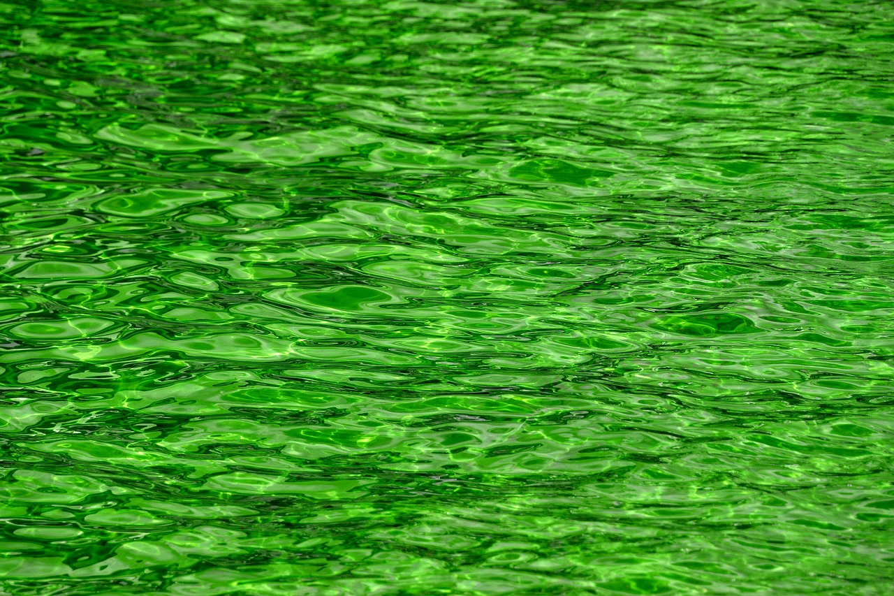 Green, water, ripples, background, texture free image from