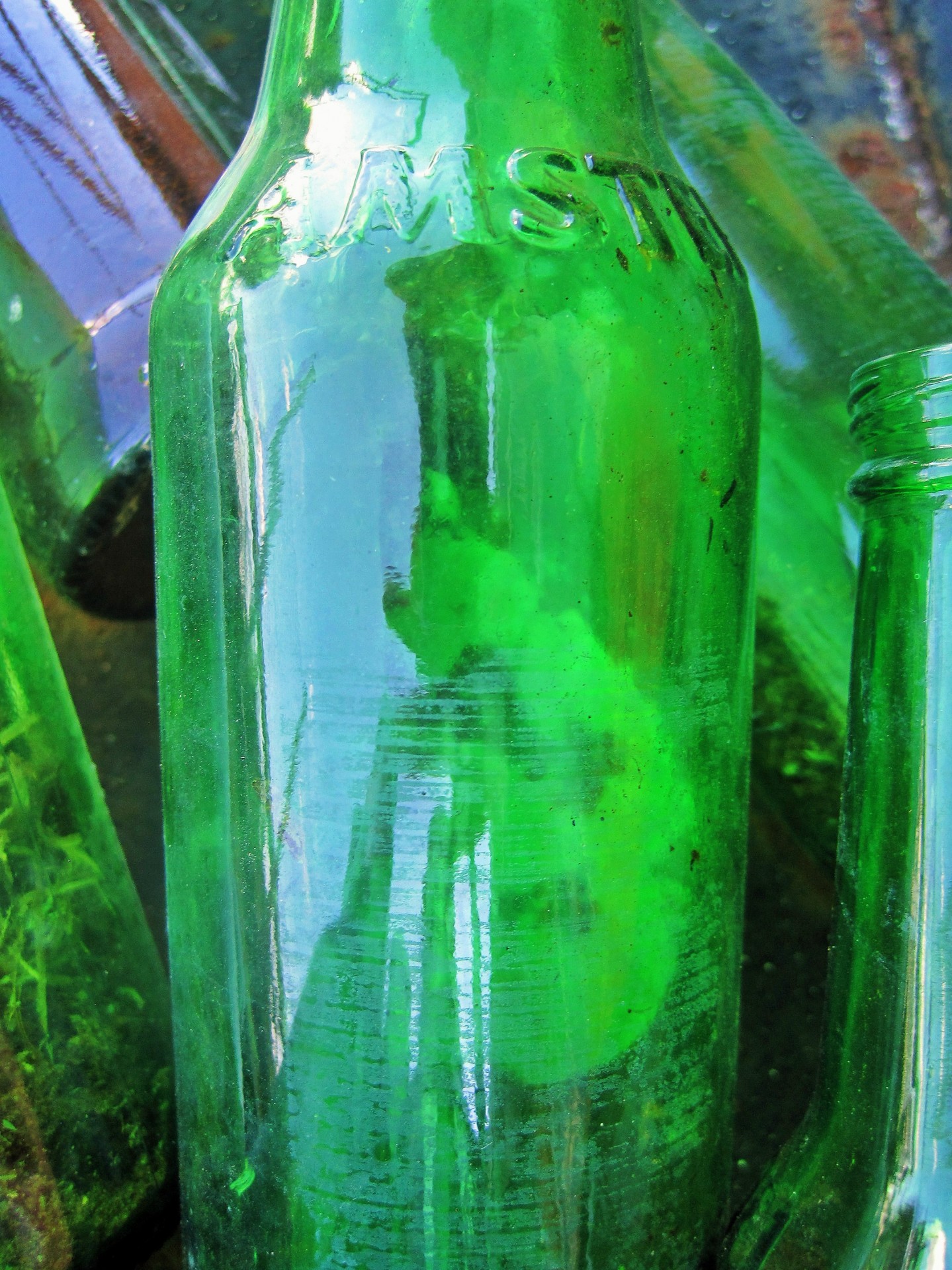 Bottles,green,glass,recycle,green bottles free image from