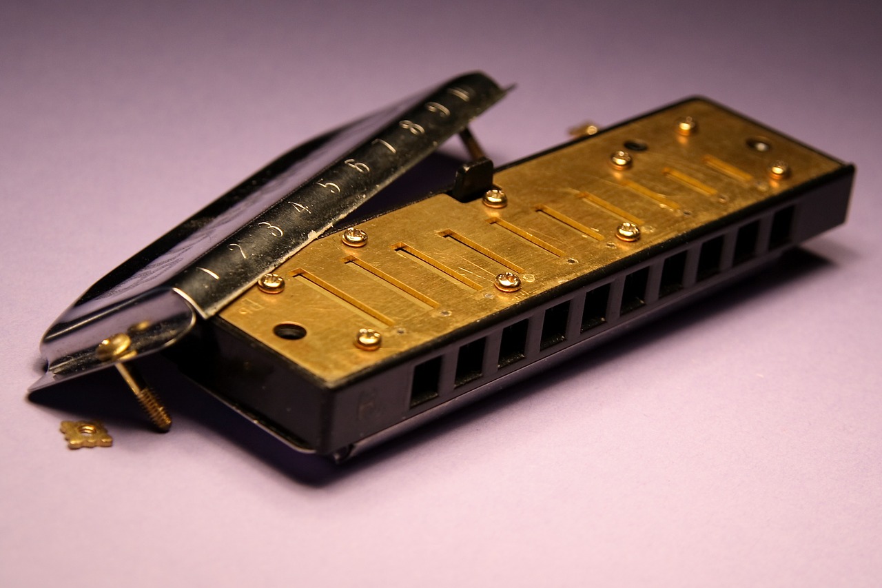 Harmonica,music,inner workings,musical instrument,open free image