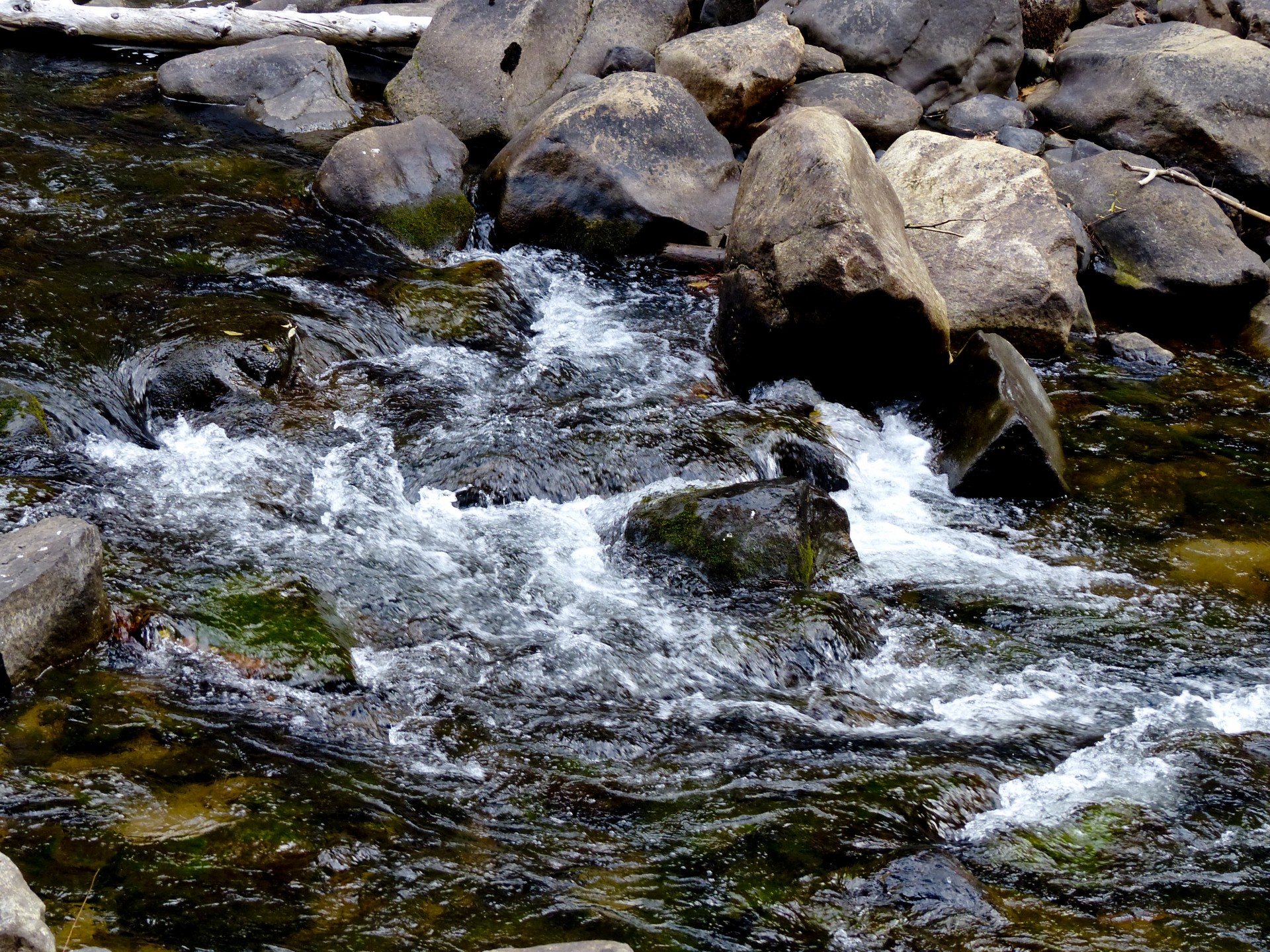 Water,river,moving,rocks,running free image from