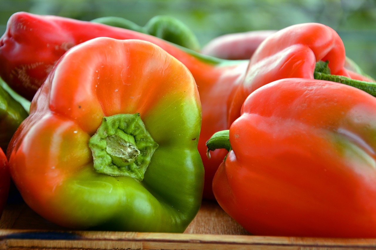 Paprika, peppers, pods, vegetables, sweet peppers free image from