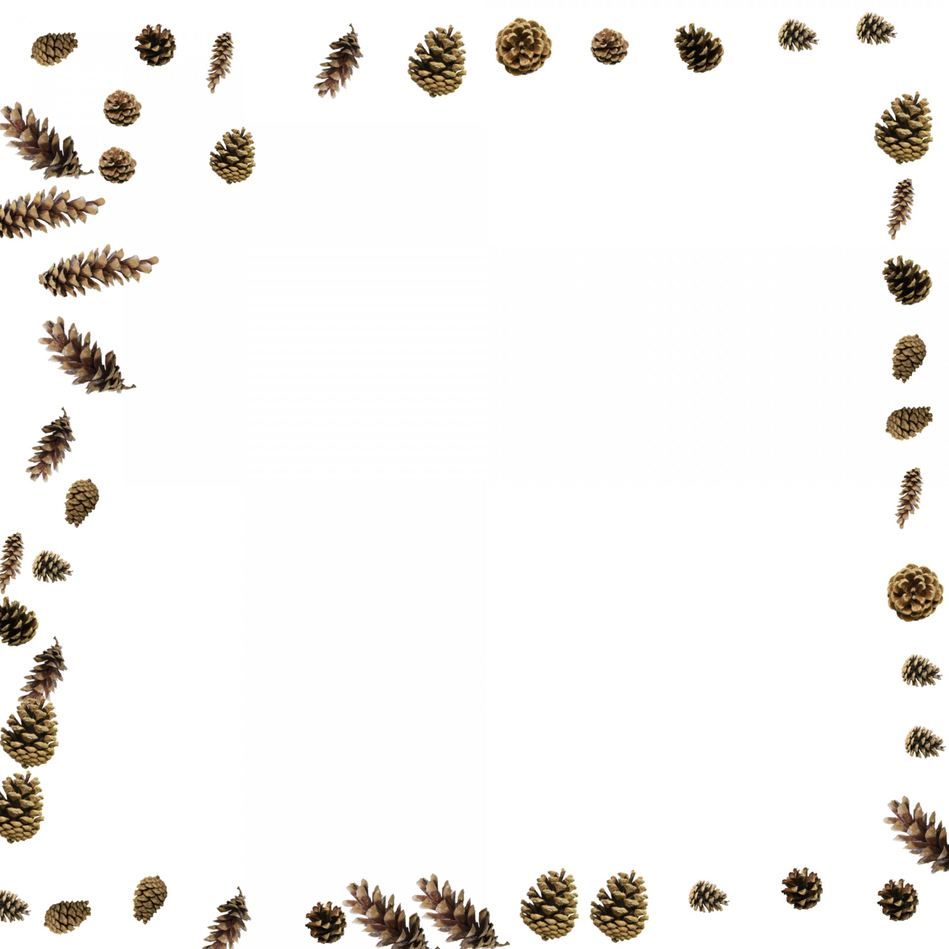 Pine,cone,border,frame,forest free image from