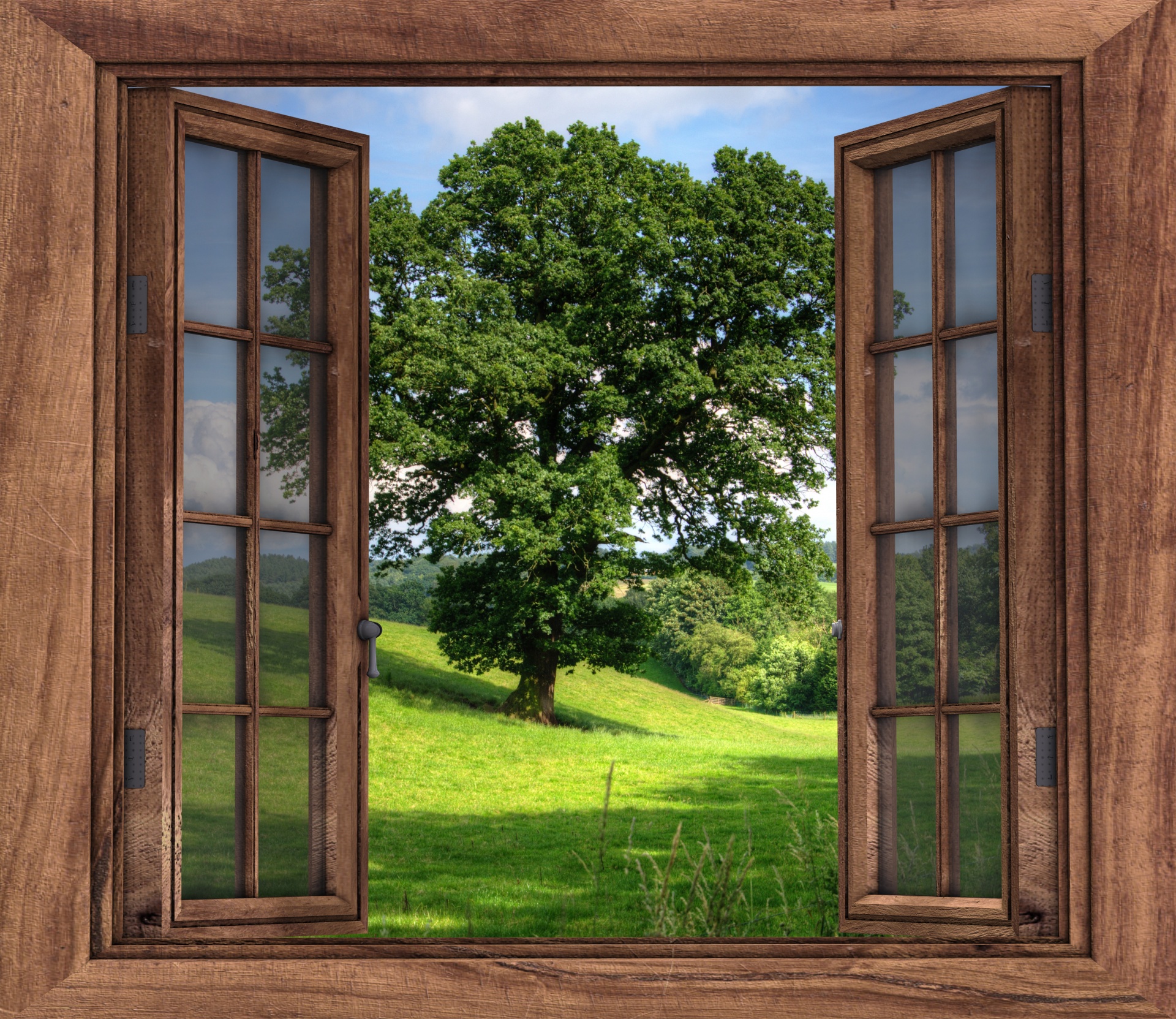 Window,open,view,tree,landscape free image from