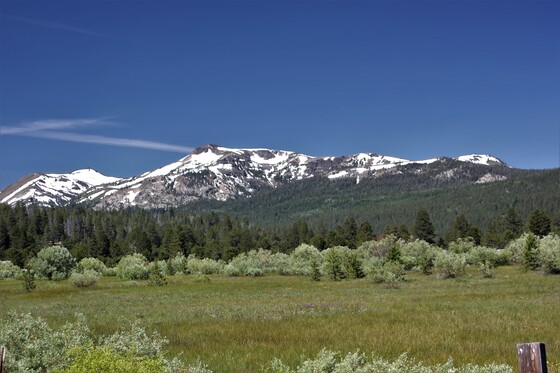 Share the Experience HumboldtToiyabe National Forest