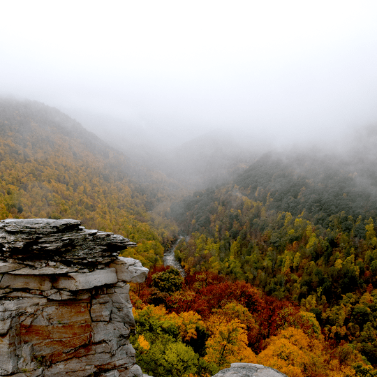 Share the Experience Monongahela National Forest