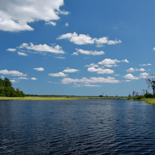 Share the Experience gallery