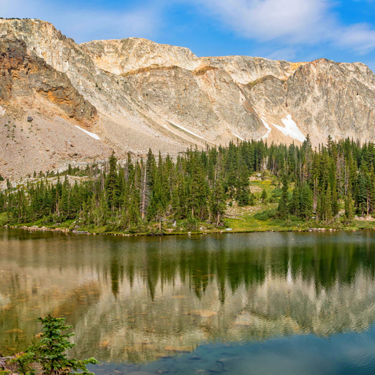 Share the Experience Medicine BowRoutt National Forests