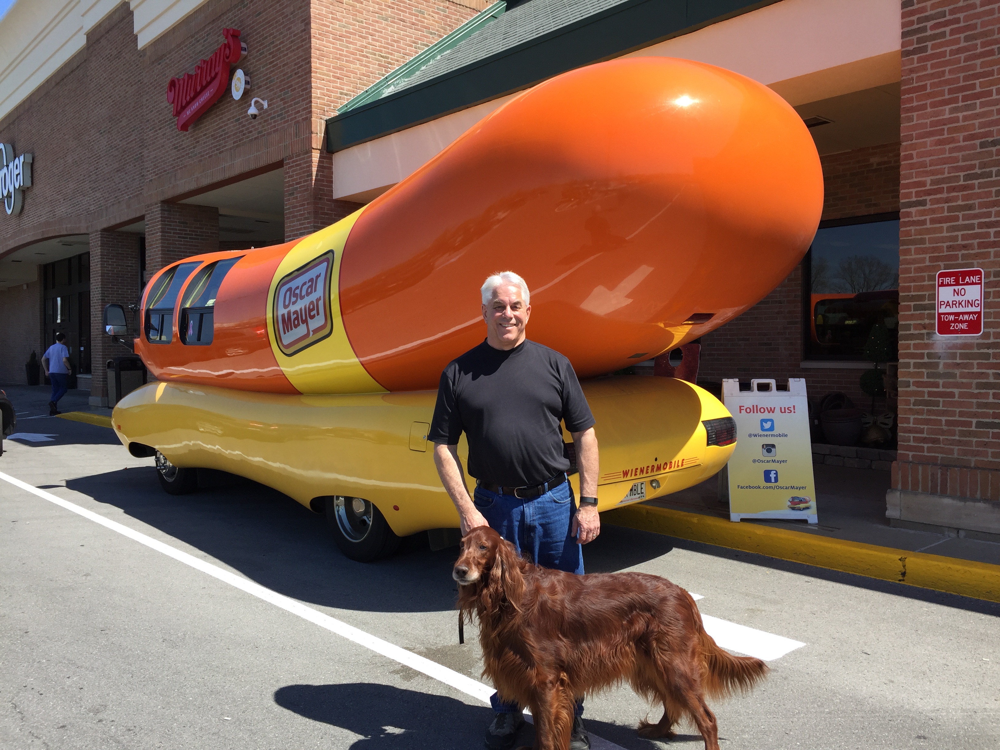 Don Elliott's Page Exclusively Setters