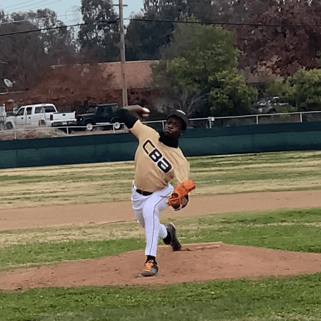 Lamont Johnson Burrell's Page California Baseball Academy USA Inc.