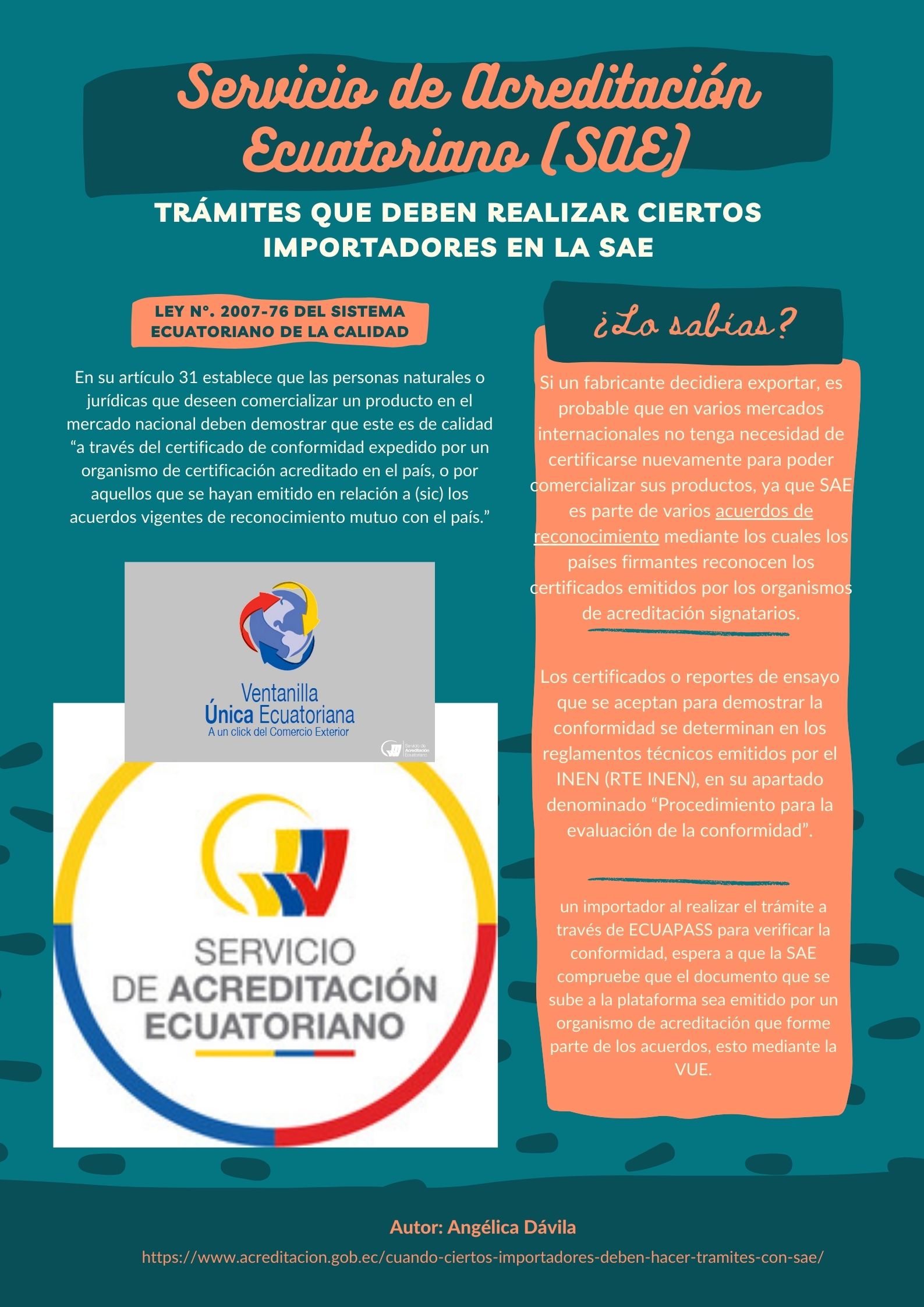 Trámites que deben realizar ciertos importadores con el