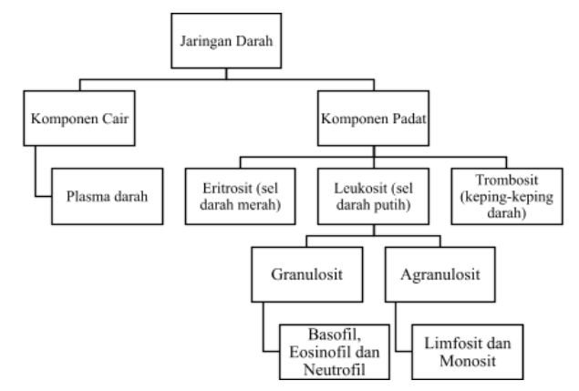 Jaringan Hewan - Tanya MIPI