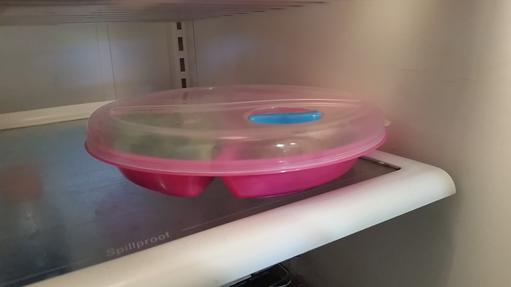 Meal Prepping with Microwave Divided Plates with Lids Integral Part of