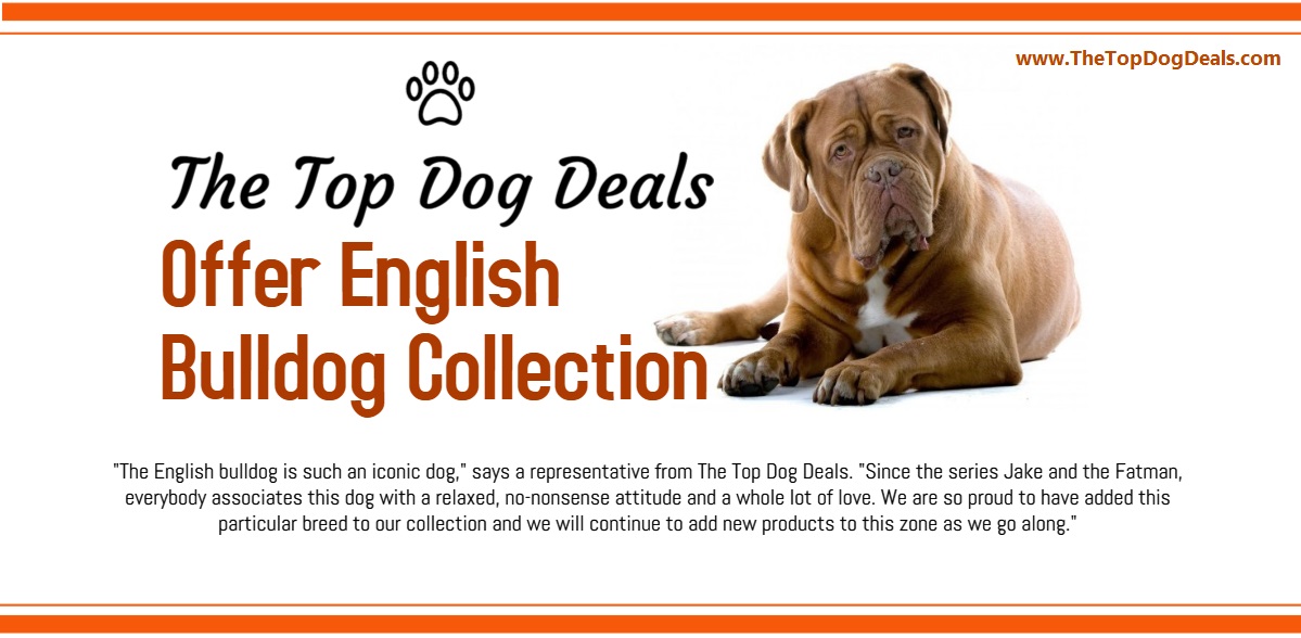 The Top Dog Deals Offer English Bulldog Collection