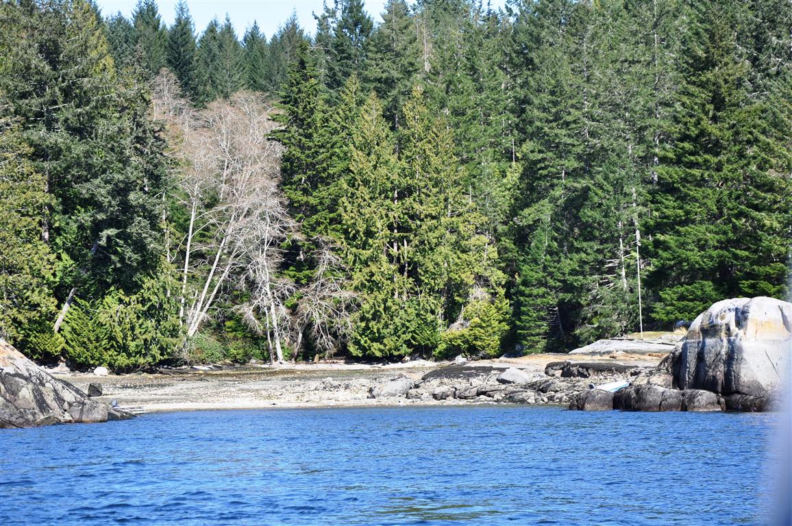 Nelson Island Oceanfront Acreage