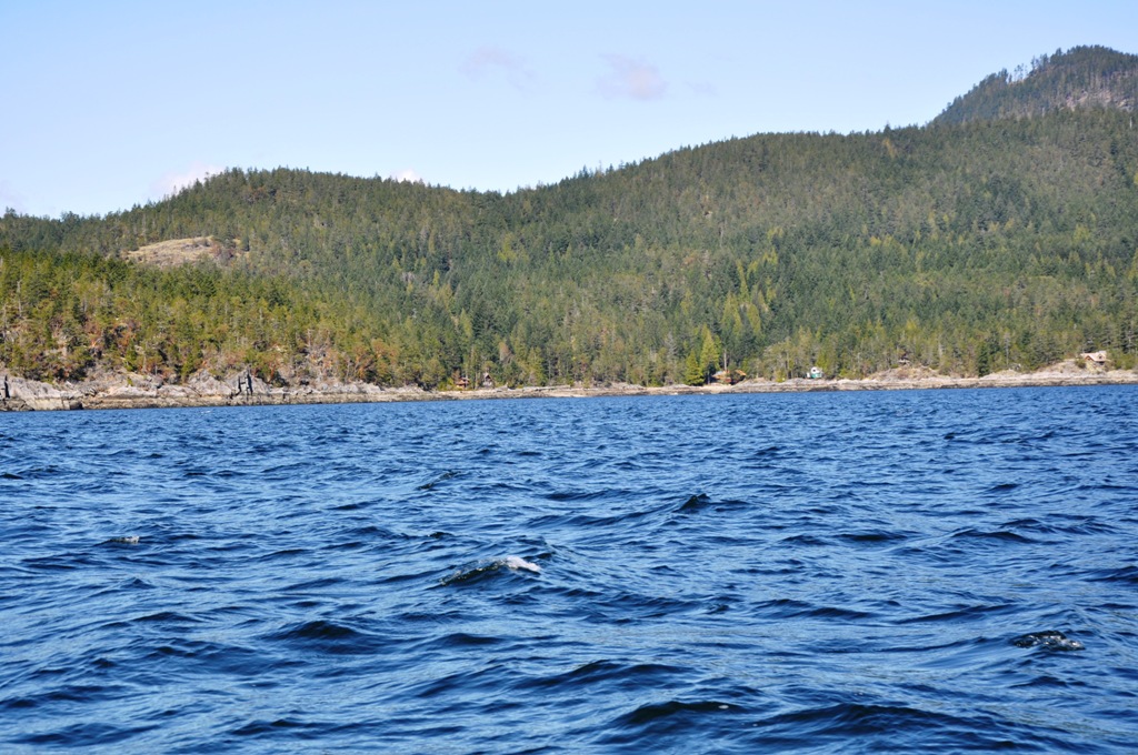 Nelson Island Oceanfront Acreage