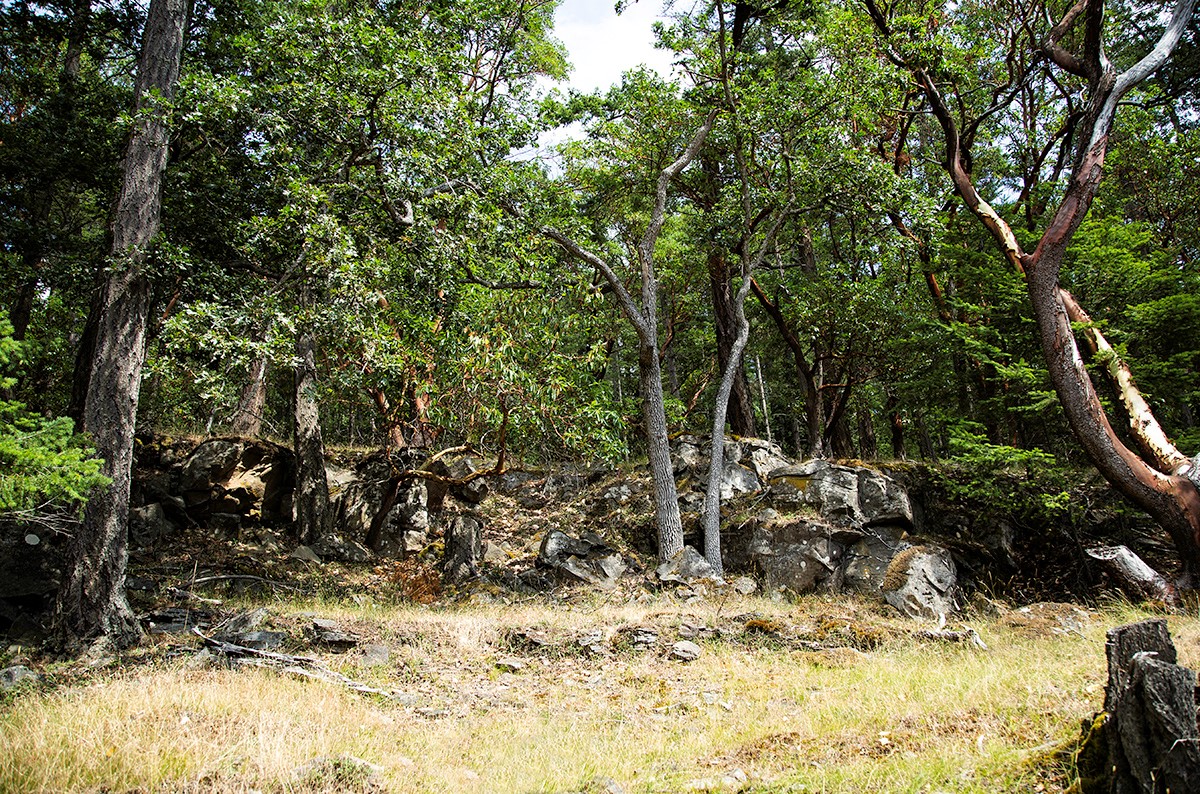 Saturna Island Oceanfront Acreage & Cabin for sale (Listed 20190725)