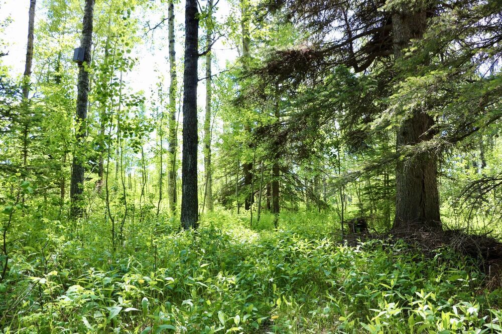 Bergen Springs Estates Recreational for sale 1 bedroom 601 sq.ft. (Listed 20210623)