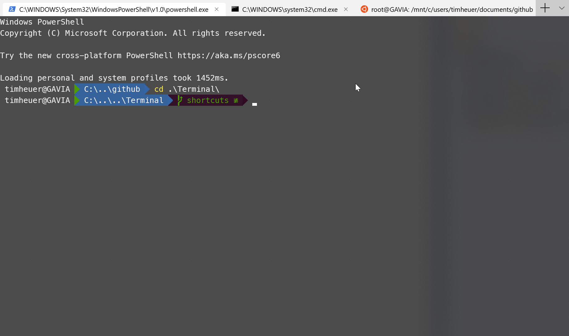 Using terminal on windows lomeister