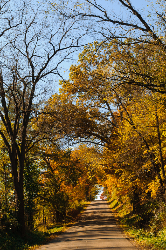 Down Home Rentals,LLC Home