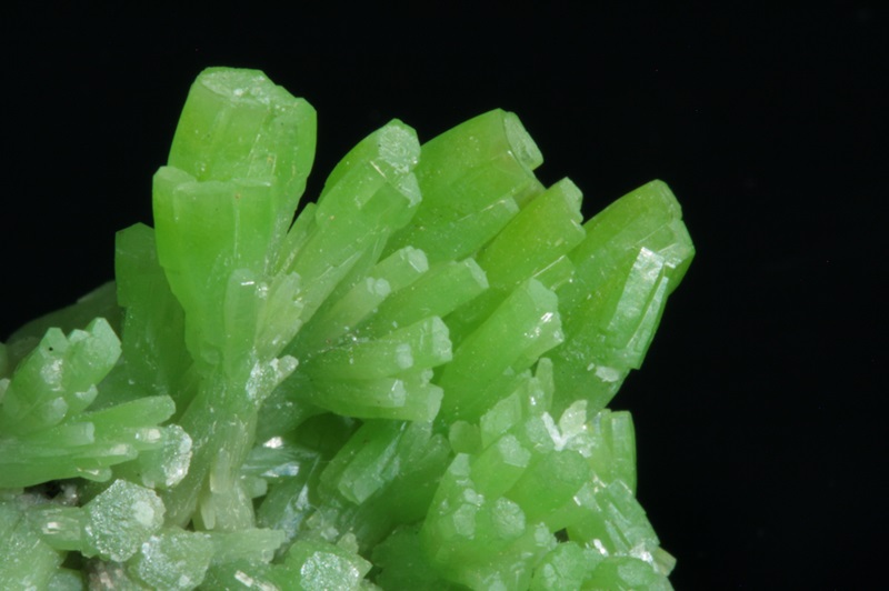 Colorado Fine Mineral Show 2023 Colorado Mineral & Fossil Spring Show