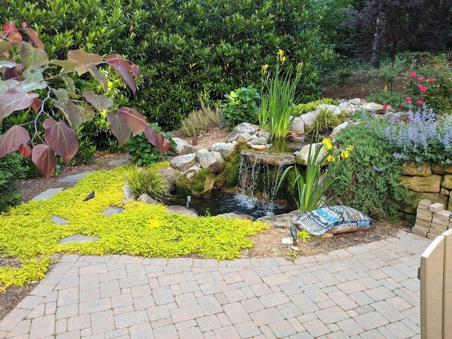 What Is a Zen Garden? Silent Thunder Order