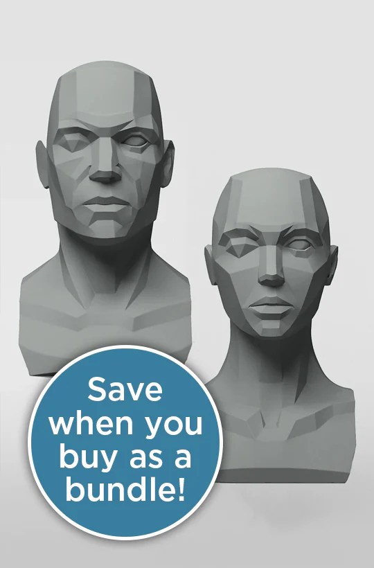 3dtotal Anatomy Male & female planar busts 3dtotal shop