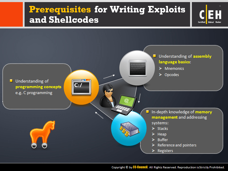 Exploit Writing ECCouncil Store