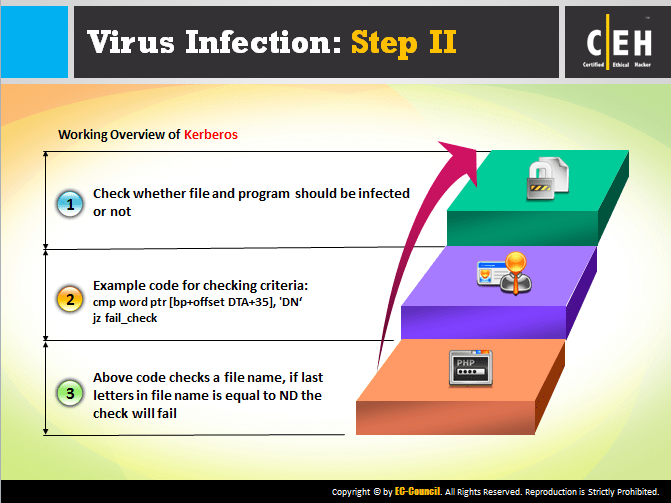 Writing Virus Codes ECCouncil Store
