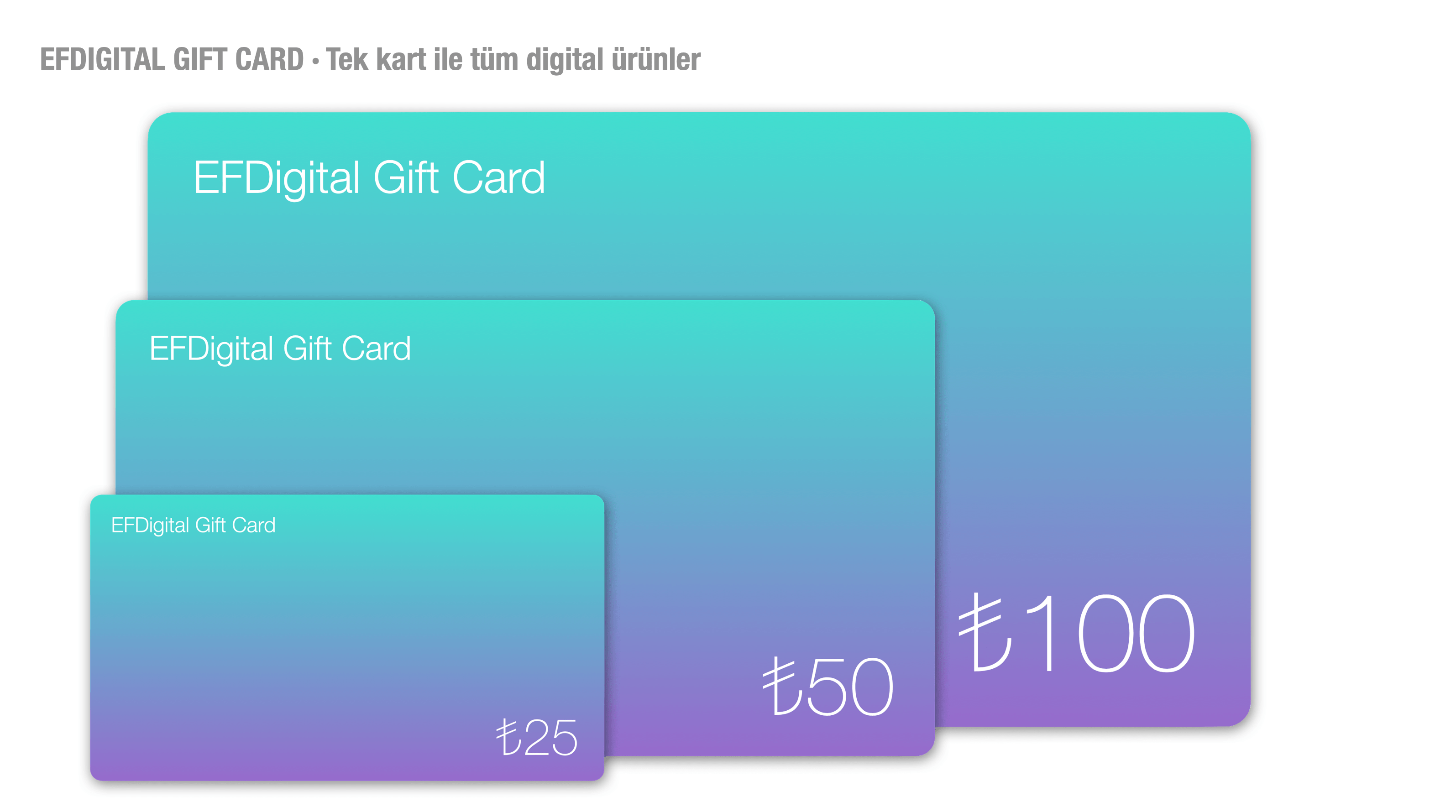 Dijital hediye kartlari ve PC oyunlari EF Digital Codes