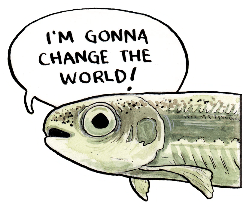 False Knees Store Opening Soon