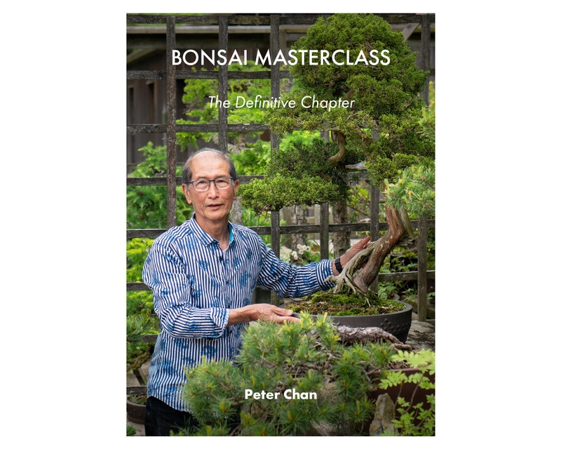Bonsai Masterclass The Definitive Chapter by Peter Chan