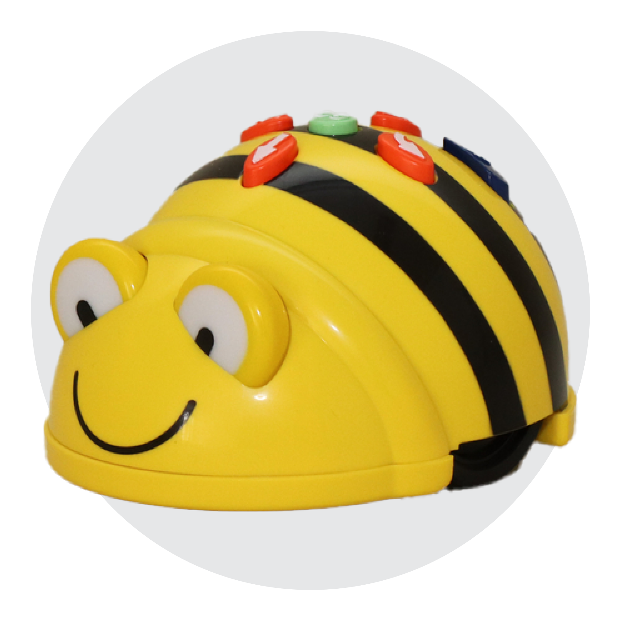 BeeBot Newton Store