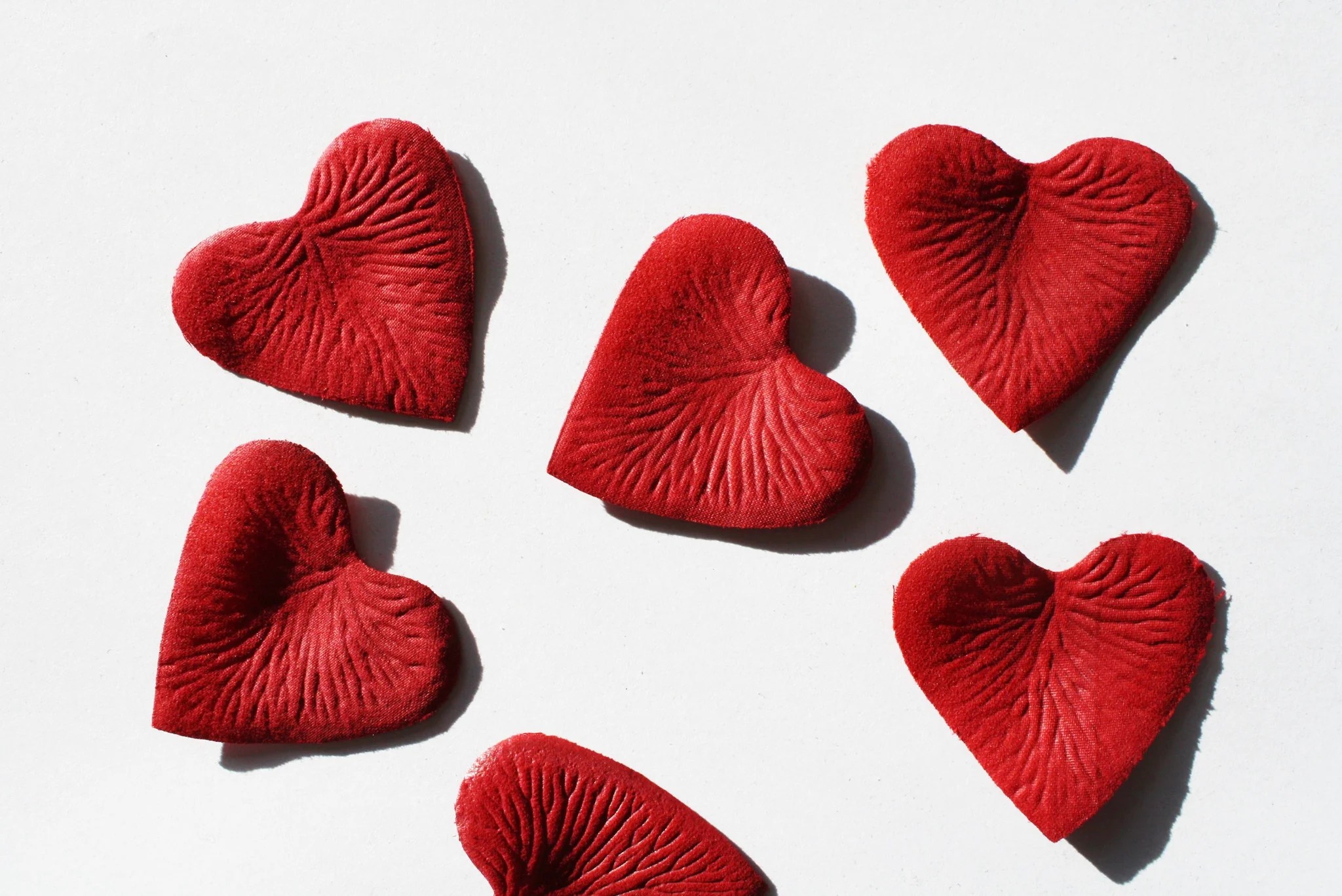 Red Heart Shaped Silk Rose Petals, 100 per bag Petal Garden, Inc.