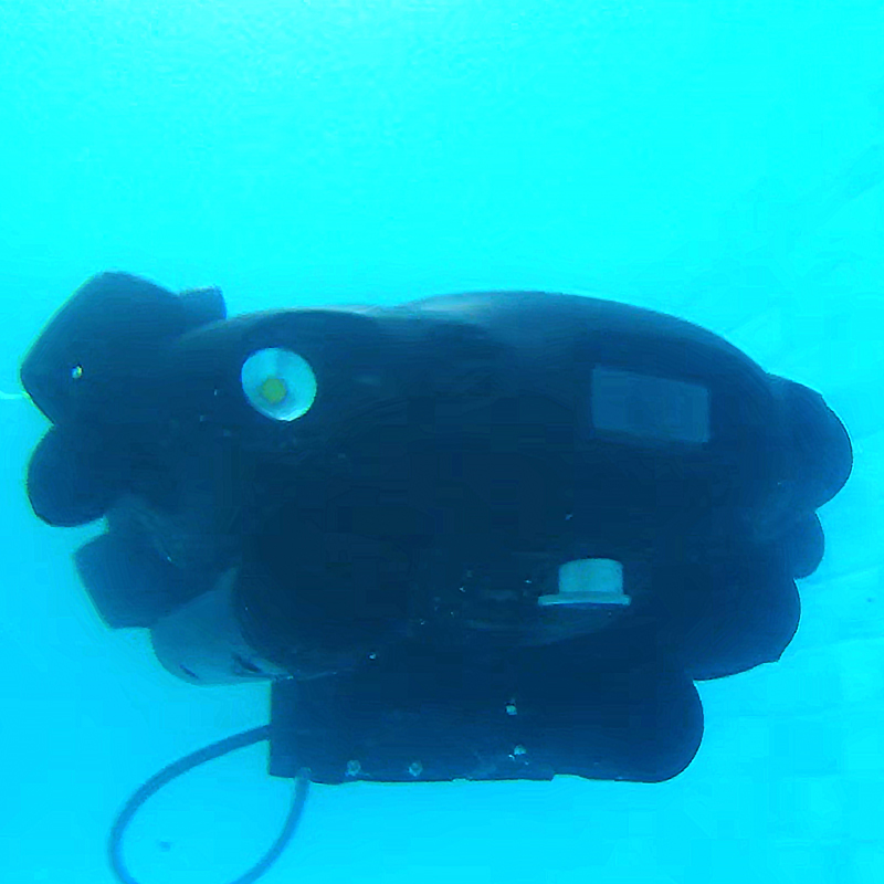 Dissolved Oxygen Sensor