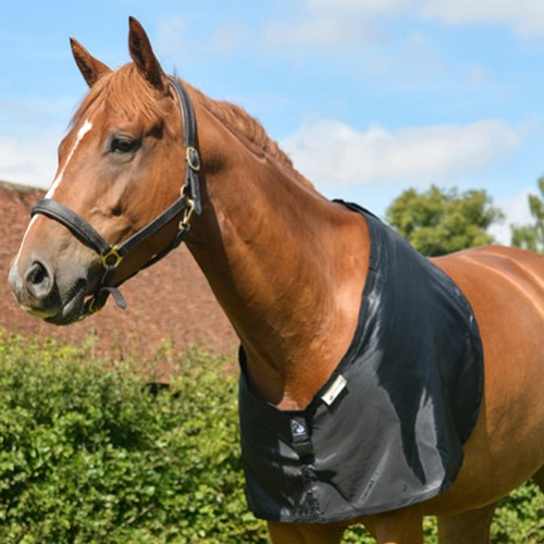 Bossy's Bibs RAMM Horse Fencing & Stalls