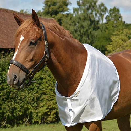 Bossy's Bibs RAMM Horse Fencing & Stalls