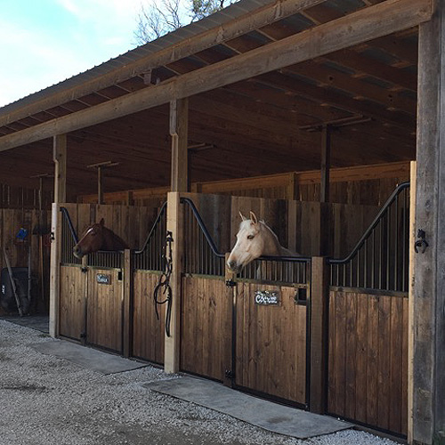 12' Shetland Horse Stall Front Kit RAMM Horse Fencing & Stalls