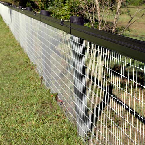 RedBrand NonClimb Wire Mesh Fence RAMM Horse Fencing & Stalls