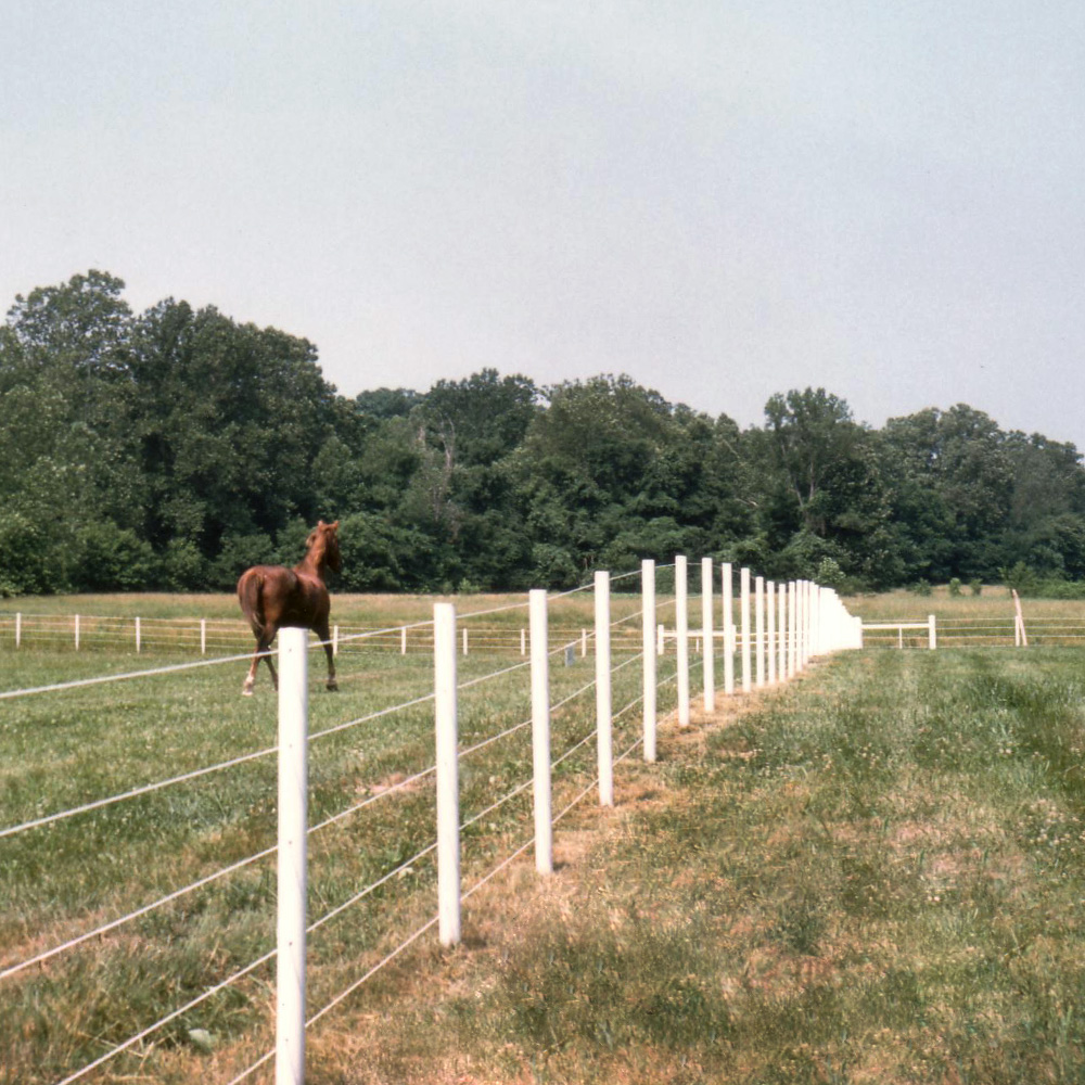 ProTek Electric Rope Horse Fence RAMM Horse Fencing & Stalls