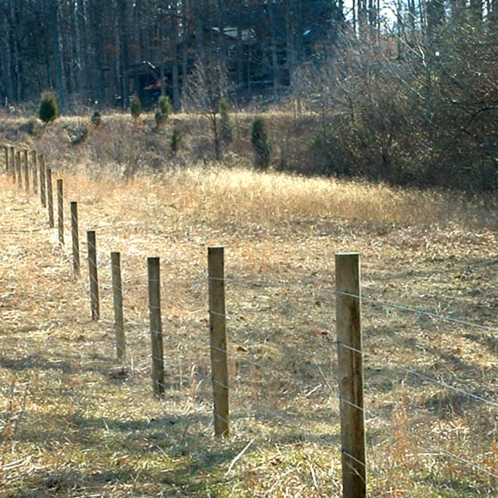 ProTek Electric Rope Horse Fence RAMM Horse Fencing & Stalls