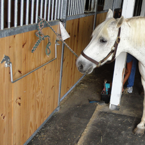 40.5" Horse Head Blanket Bar, Galvalume RAMM Stalls