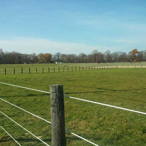 ElectroBraid™ Horse Fence, 1000' Roll RAMM Fence