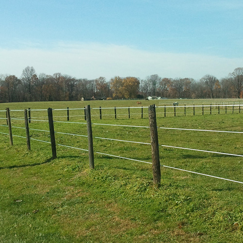 ElectroBraid™ Electric Horse Fence RAMM Horse Fencing & Stalls