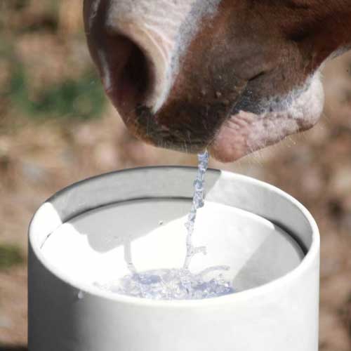 Drinking Post Waterer RAMM Horse Fencing & Stalls