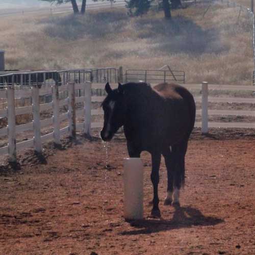 Drinking Post Waterer RAMM Horse Fencing & Stalls