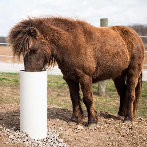 Drinking Post Waterer RAMM Horse Fencing & Stalls