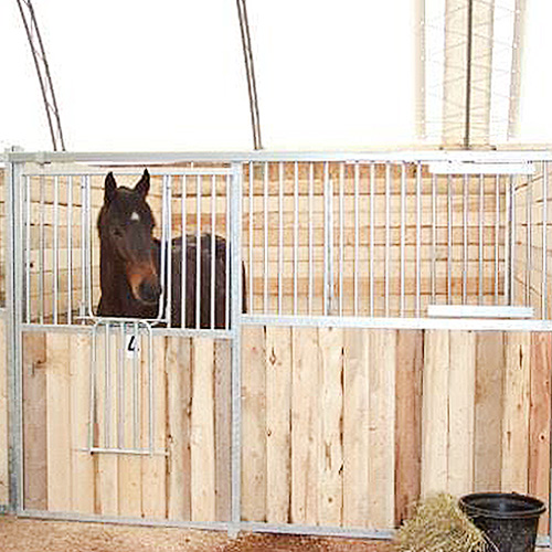 Dublin Stall Front with Feed Door RAMM Stalls