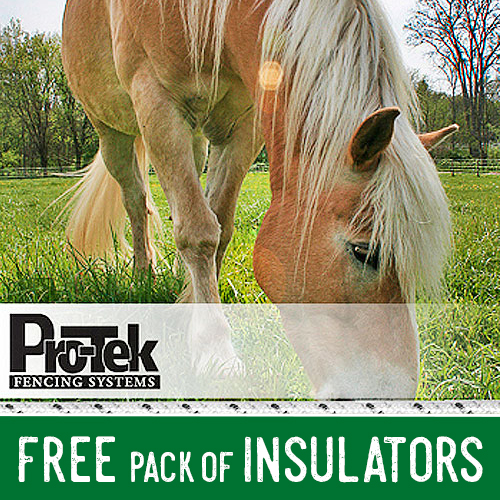 Electric Horse Fence Electric Fence Systems RAMM Horse Fencing & Stalls