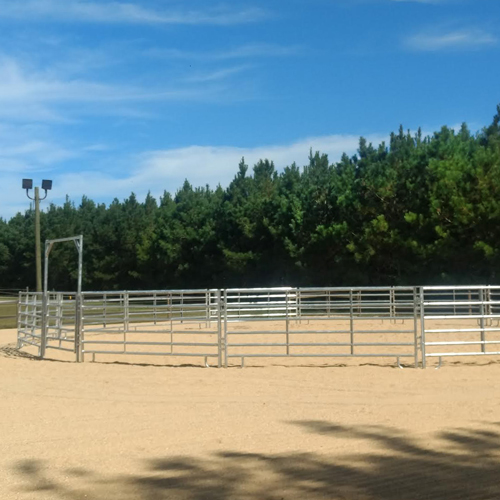 Heavy Duty Round Pen Round Pen For Horses RAMM Horse Fencing & Stalls