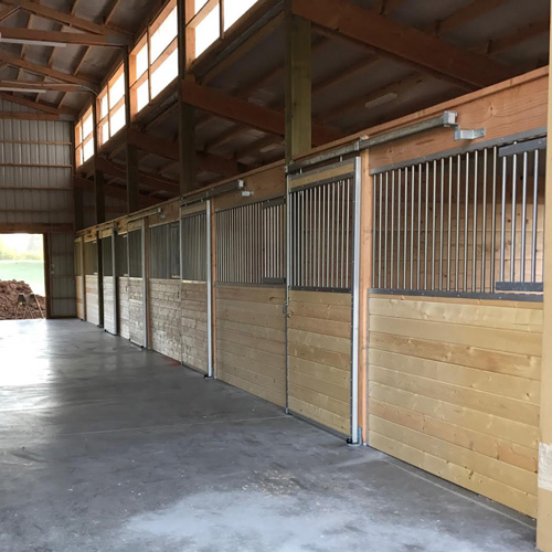 Horse Stall Feed Door RAMM Horse Fencing & Stalls